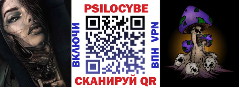 Псилоцибиновые грибы Psilocybe  Петров Вал 